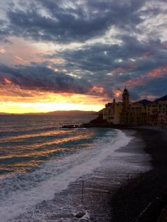 Sguardo sul Porto ( codice CITRA 01007-LT-0314 ) - Camogli - 6