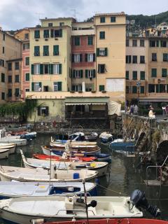 Sguardo sul Porto ( codice CITRA 01007-LT-0314 ) - Camogli - 8