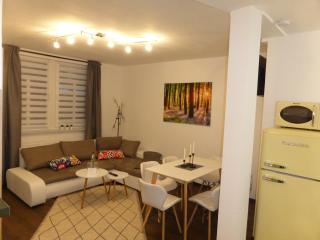 Ferienwohnung Goethe, 2 Schlafzimmer, Nähe Zentrum & Uni, ruhig, free Wifi, kostenloses Parken, Erdgeschoss - Jena - 1