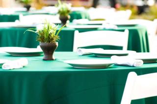 Holiday Inn Valdosta Conference Center by IHG - 3