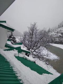 Prakriti-The Retreat - Gangotri - 4