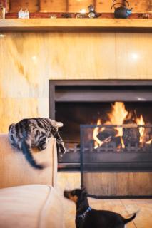 The Log Collective - 5