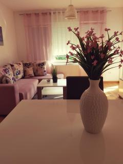 Apartman DIJANA - Banja Luka - 8