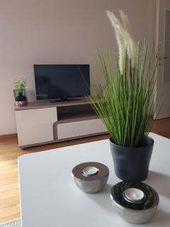Apartman DIJANA - Banja Luka - 5