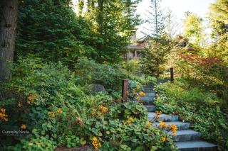 The Fern Lodge - Chestertown - 6