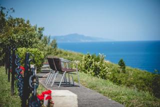 Gure ametsa - Getaria - 0
