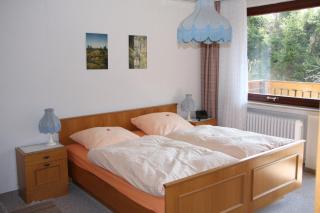 Haus Grüne Insel - Ferienwohnungen - Altenau - 9
