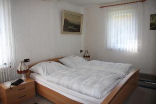 Haus Grüne Insel - Ferienwohnungen - 1