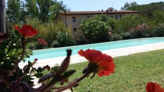 Agriturismo Lupo Vecchio - Grosseto - 5