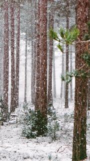 les Arcs 1800 - Bourg-Saint-Maurice - 9