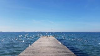 Cosy villa near the beach - Zadar - 8