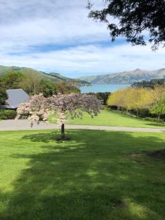 Cherrywood Cottage - Akaroa - 7