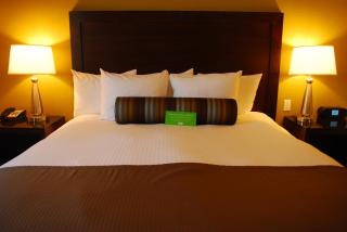 The Oaks Hotel & Suites - 9