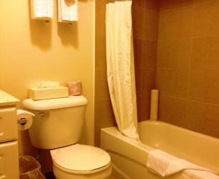 Woodstock Inn and Suites - 5