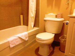 Woodstock Inn and Suites - 4