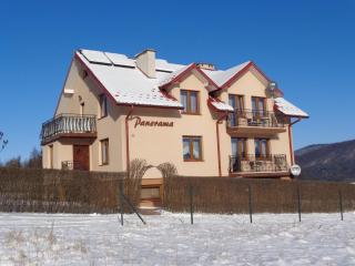 Pokoje Panorama - Wysowa-Zdrój - 6