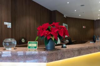 H&L Hotel - Cinisello Balsamo - 2