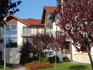 Apartamenty Miku - Krynica-Zdrój - 7