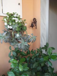 LUXURIOUS APPARTMENTS KATERINA - Platamonas - 9