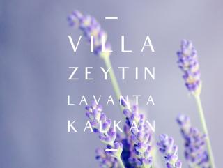 Villa Zeytin, LaVanta, Kalkan - Kalkan - 9