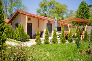 Studiouri Valisoara - Vălişoara - 3