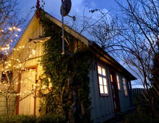 Kleines Haus am Hafen - ruhig und grün am Ortsrand - Prerow - 6