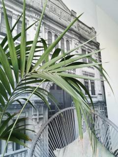 Duplex Maisonette with Heated P-Pool and Jacuzzi - St Julian's - 5