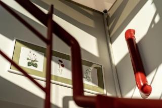 Anemi Apartments - 1