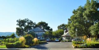 Vineyard Country Inn - St. Helena - 8