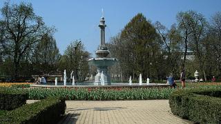 Tulip Family Apartments - Eger - 5