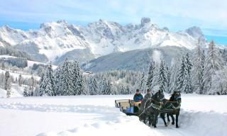 Appartements Haus Bergland - 8