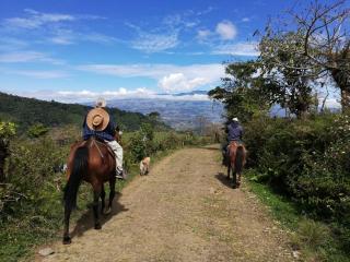 Finca Queveri - Orosí - 2