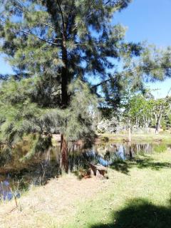 Woodlands of Balingup Bush Cottages - Balingup - 2