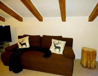 Haus Schneeberg mit Hochkönig Card - 2