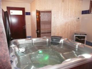 Wellness Chata Rosnatka - Kvilda - 1