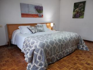 Garden Lodge Hostal Evencio - Ribadavia - 1