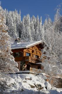 Les Saisies côté Bisanne appartement dans chalet LE Népal - Les Saisies - 9
