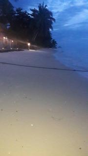 Jungle Hut Bungalows & Hotel - 8