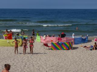 Ozi-Holiday - 5