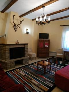 Holiday Apartments in Arachova - 3