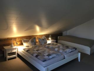 Lina's Ferienwohnungen - zwei moderne FeWos mit Sauna im Haus und fantastischem Ausblick - Sankt Andreasberg - 5