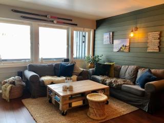 Storehorn Apartments Hemsedal - 0