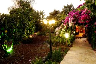 Shavit Simple room - Arbel - 2