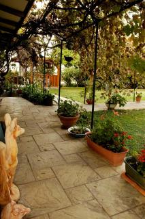 Shavit Simple room - Arbel - 1