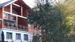 Pintea Chalet - Baia-Sprie - 2