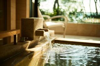 THE HIRAMATSU HOTELS & RESORTS KASHIKOJIMA - Shima - 8