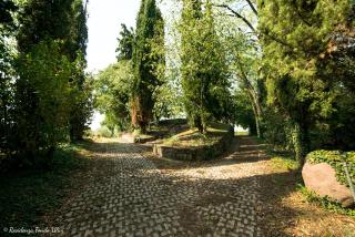 Residenza Fondo Ulivi - Ponti Sul Mincio - 8