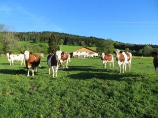 La ferme du bonheur - Pierrefontaine-les-Varans - 0