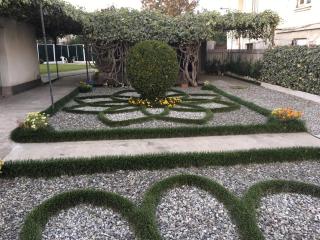 Green Garden - Sugdidi - 3