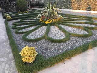 Green Garden - 1